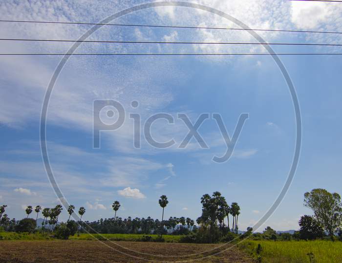 SKY AND FIELD