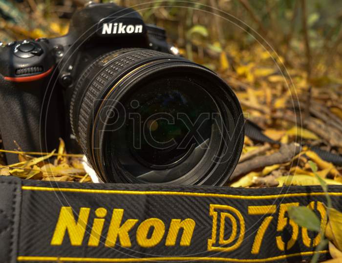 A Nikon Camera D750 Lying Down On The Garden Of Hauz Khas Lake And Garden From The Hauz Khas Fort At Hauz Khas Village At Winter Foggy Morning.