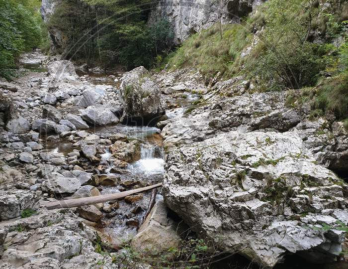 Cheile Rametului Gorges Natural Park Alba, Romania