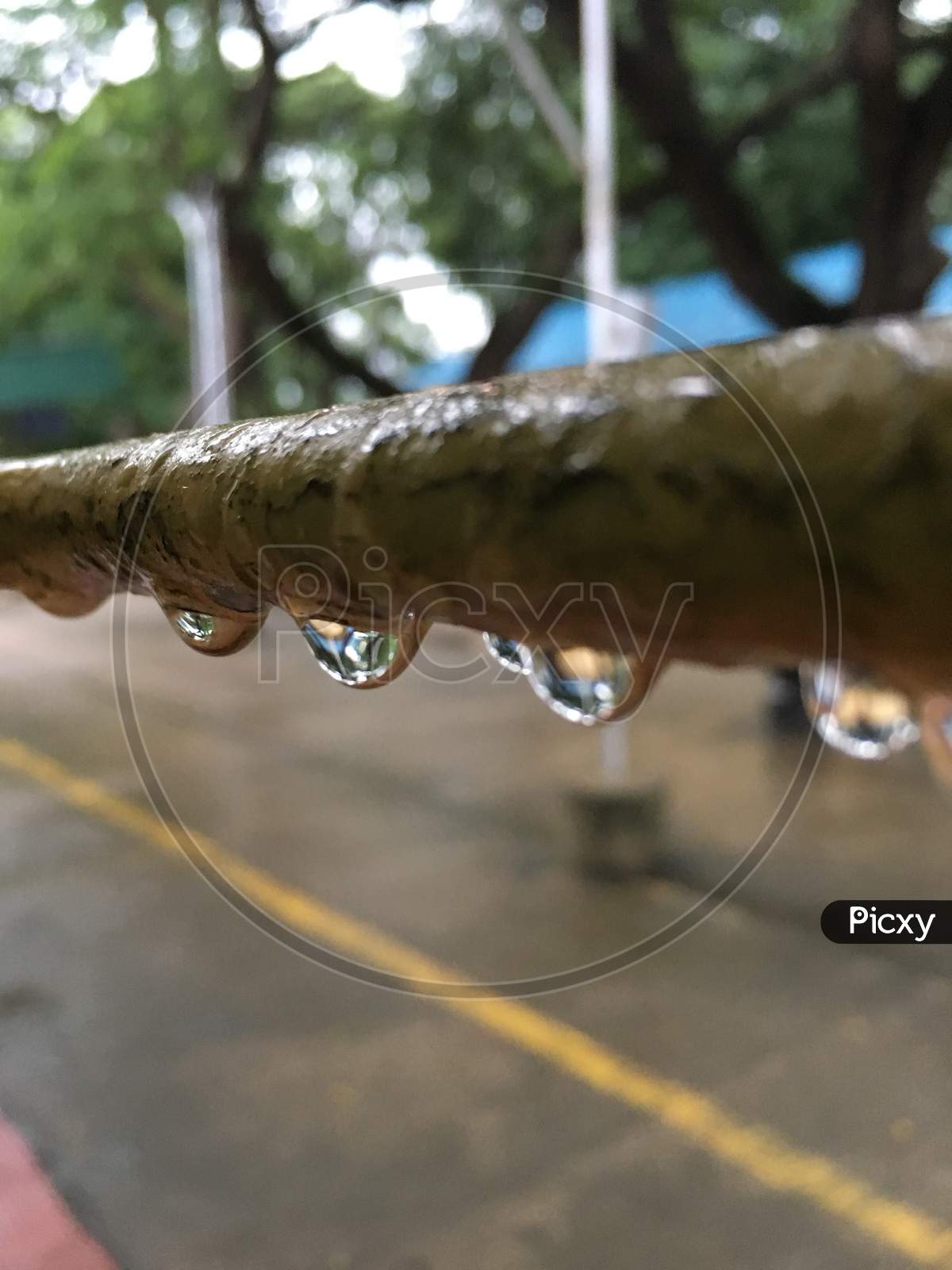 macro-photography water drop