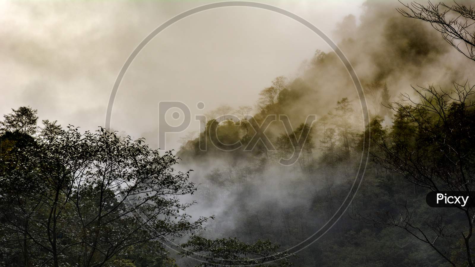 Early Morning Fog on Gangtok Hills
