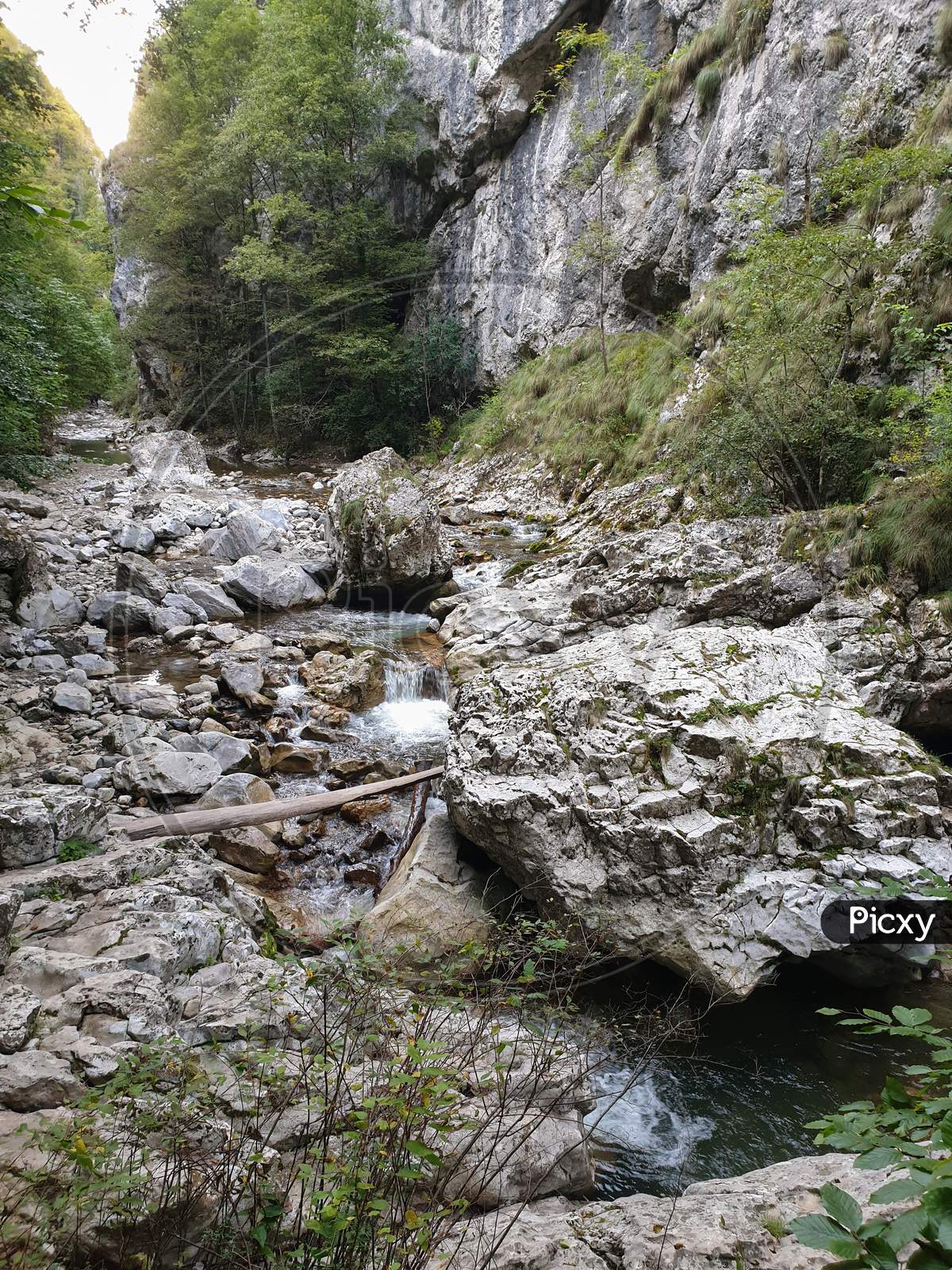 Cheile Rametului Gorges Natural Park Alba, Romania