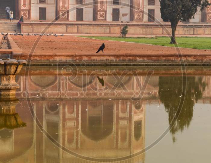 A Reflection Of Crow Bird In Water Near By Park,Lawn At Winter Foggy Morning.