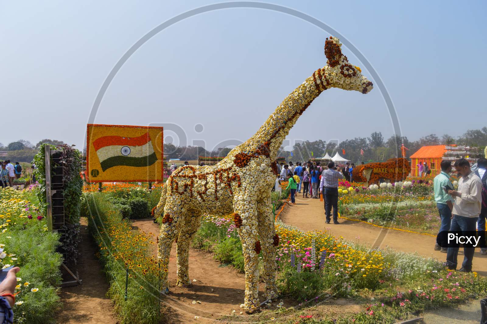 The Giraffe Which Is Made Of Cotton And News Paper, Flowers Are There For Exhibition At Pusa, Agriculture Festival, New Delhi.Indian Flag.