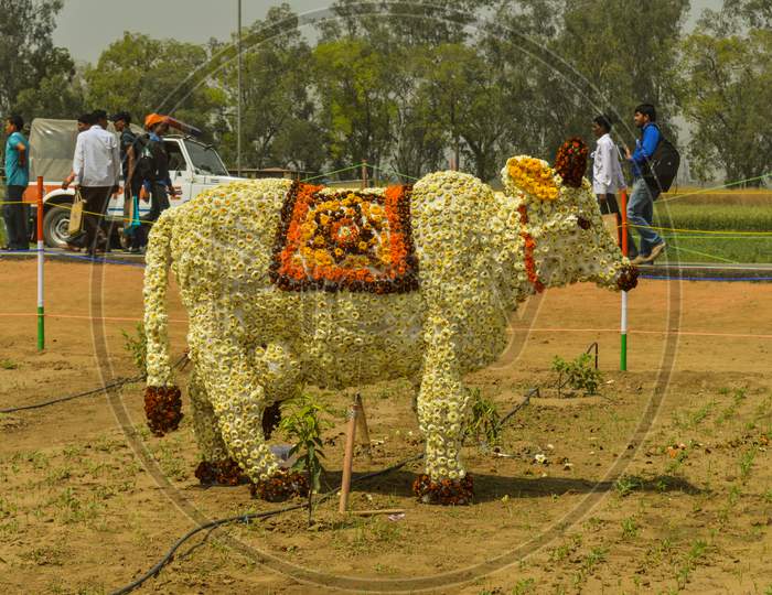 A Statue Of Indian Cow Which Is Made Of Cotton And Flower Showcase On The Agriculture Festival, Pusa, New Delhi.