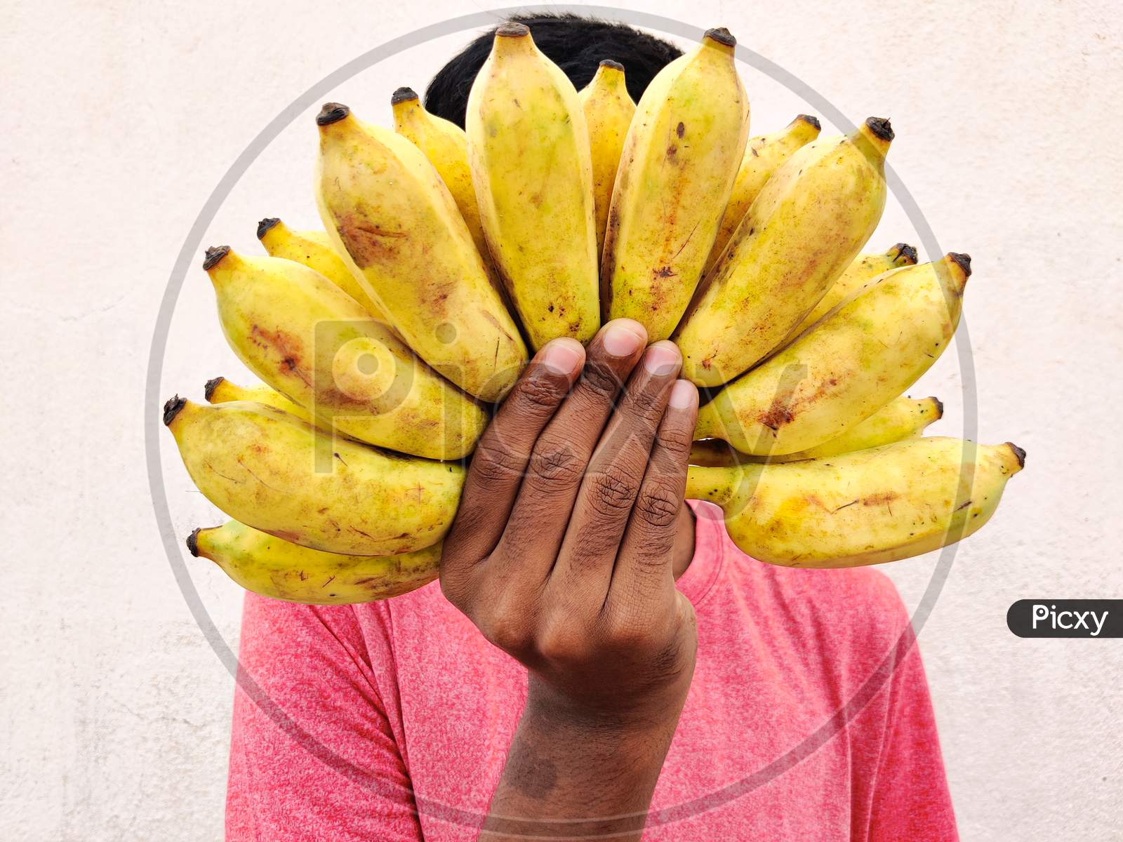 Red Tshirt South Indian Man Covering His Face With A Cluster Of Bananas. Isolated On White Background. Festival Concept