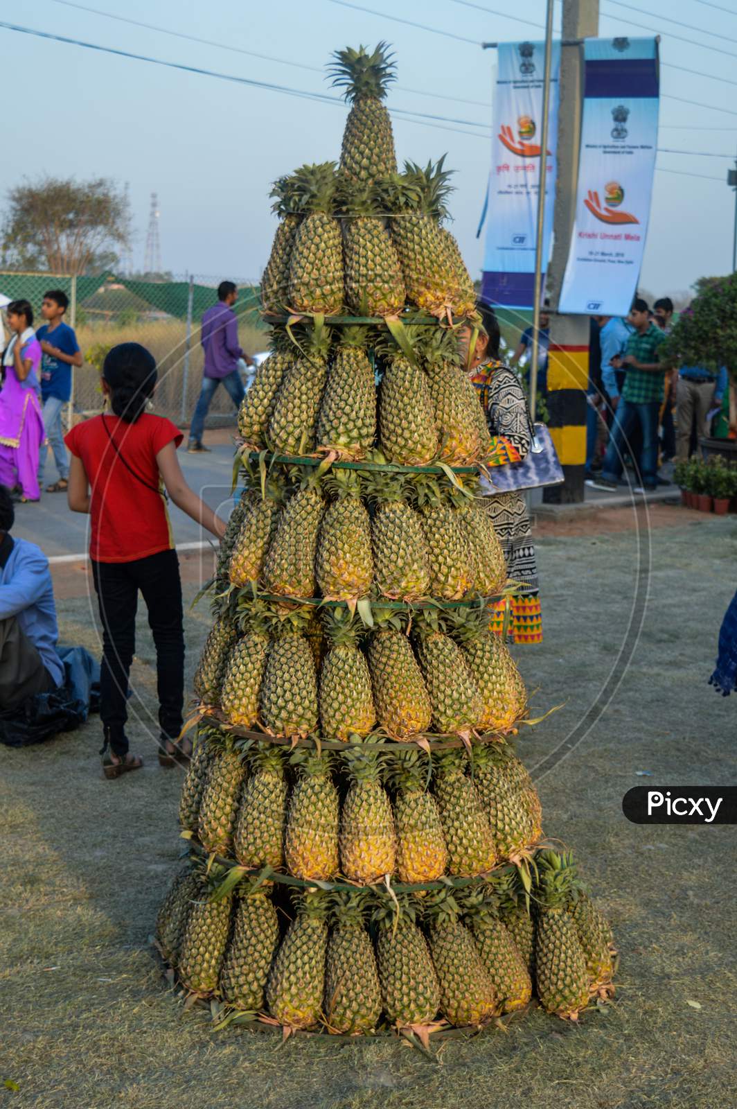 The Pineapple Tower Which Is Standing On Field.