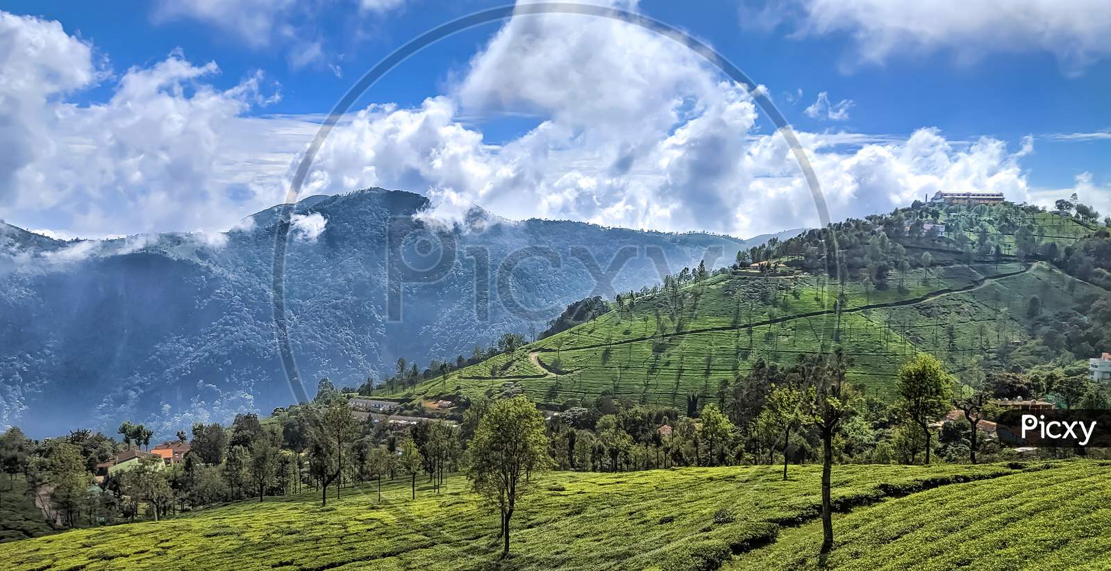 Perfect landscape in ooty