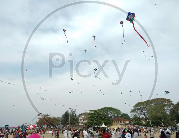 14 Feb 2016 , participants during aster medcity we can I can Cancer awareness kite flying festival at fort kochi