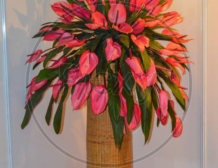 A Bunch Of Pink Flower Into Pot Made Out Of Wooden.