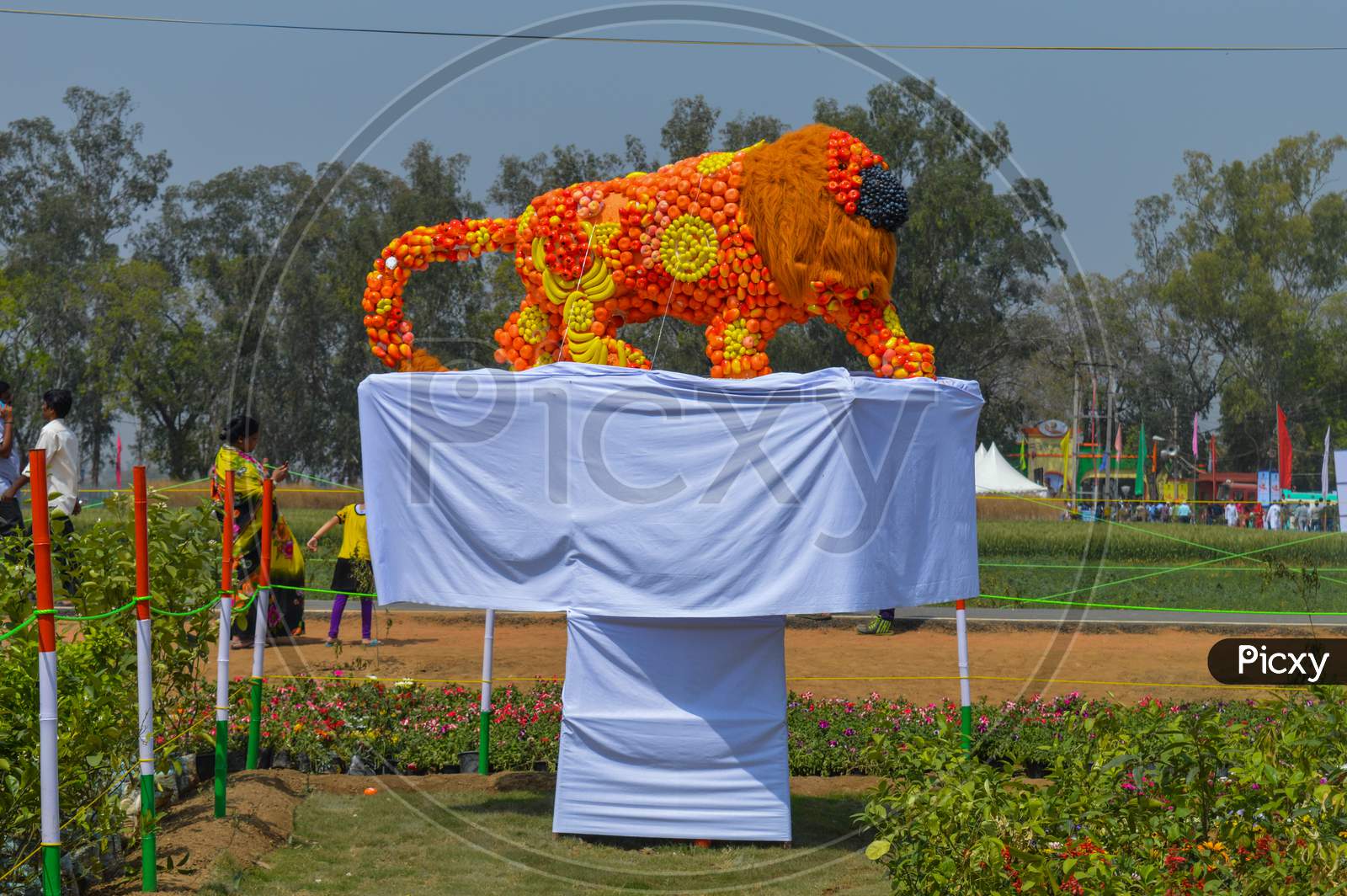 A Statue Of Indian Lion Which Is Made Of Cotton And Fruit Showcase On The Agriculture Festival, Pusa, New Delhi.