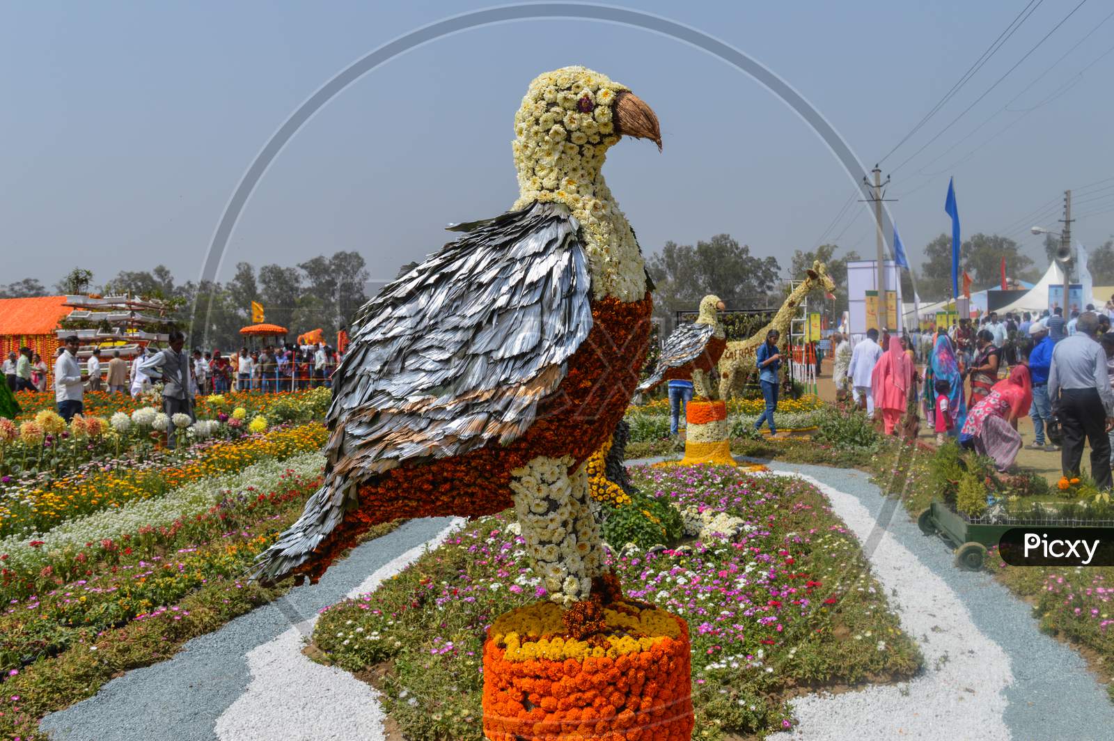 The Eagle Which Is Made Of Cotton And News Paper, Flowers Are There For Exhibition At Pusa, Agriculture Festival, New Delhi.