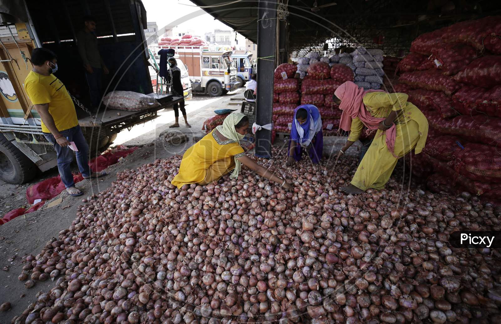 Workers sort onion at Narwal vegetable wholesale market on the outskirts of Jammu on September,17 2020.