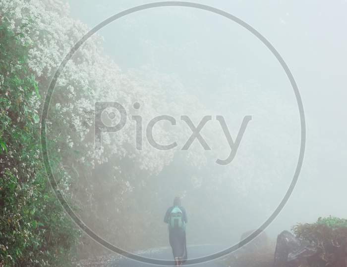 A Man Walking Alone Through Hazy Moody Fog In The Morning.