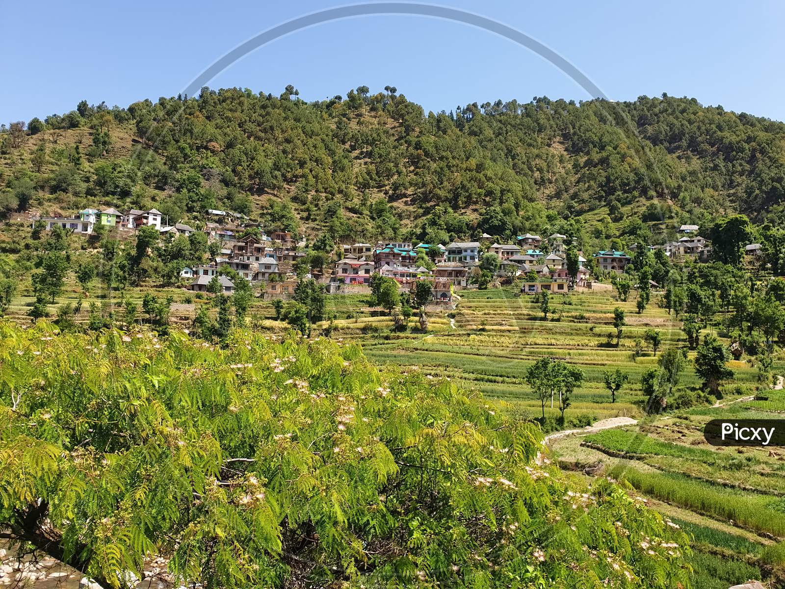 Photo of beautiful valley of Himachal Pradesh, View of lovely village landscape, View of beautiful hilly village with terraced fields in summer season