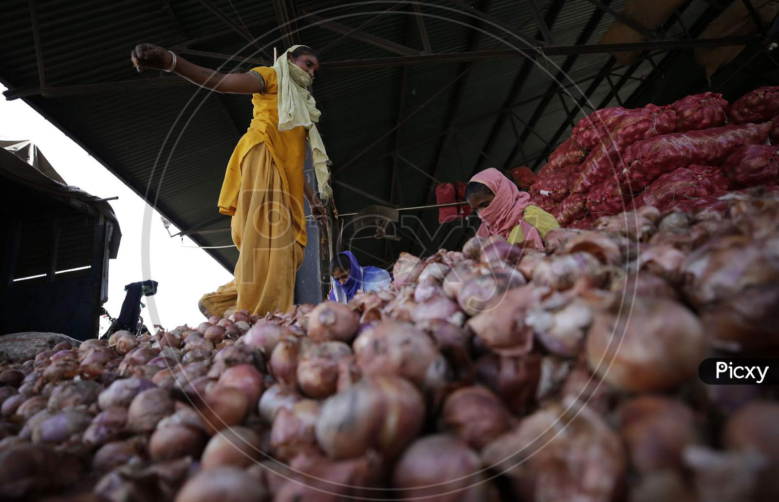 Workers sort onion at Narwal vegetable wholesale market on the outskirts of Jammu on September,17 2020.