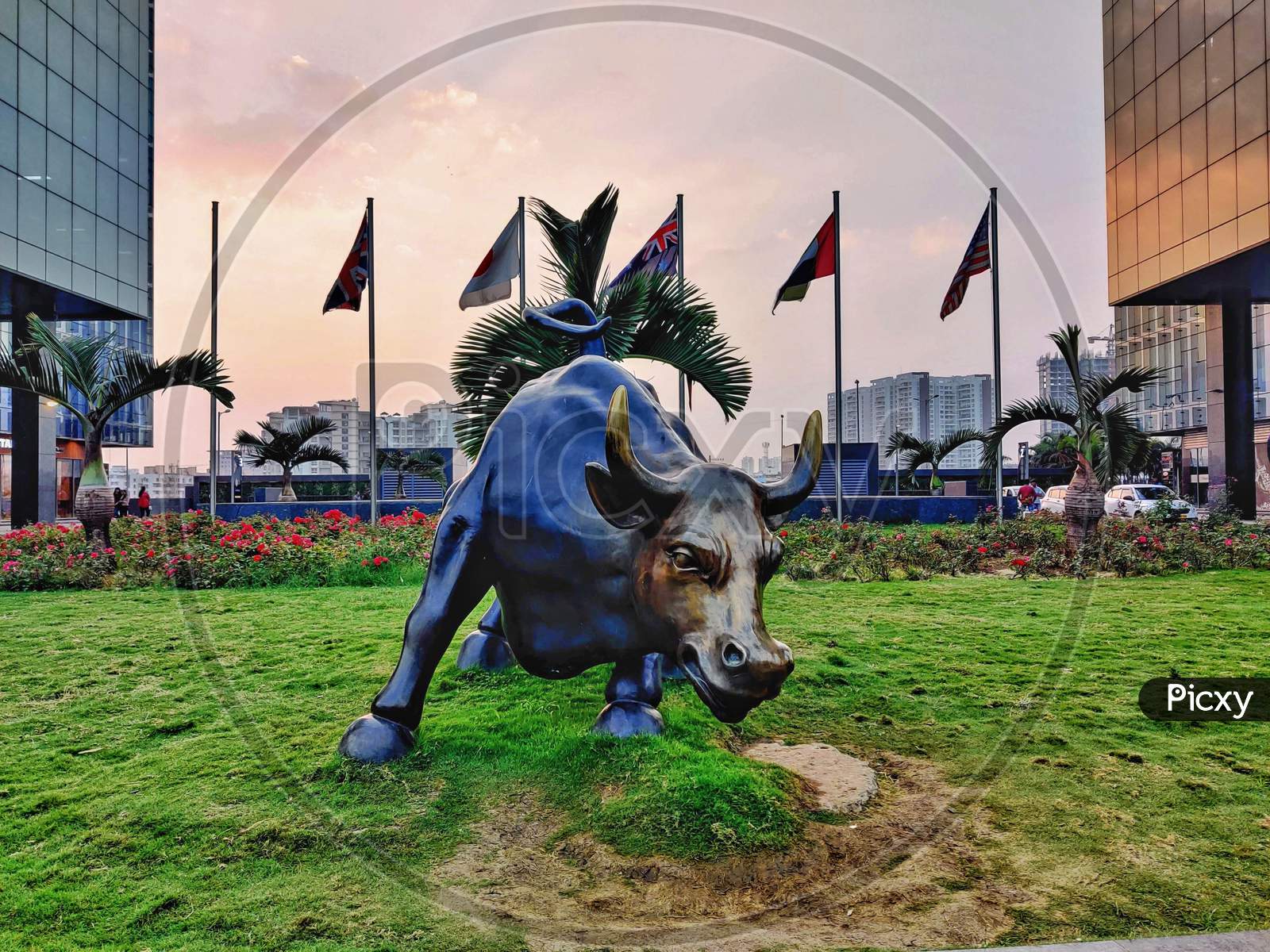 image-of-charging-bull-wall-street-bull-from-world-trade-center-pune