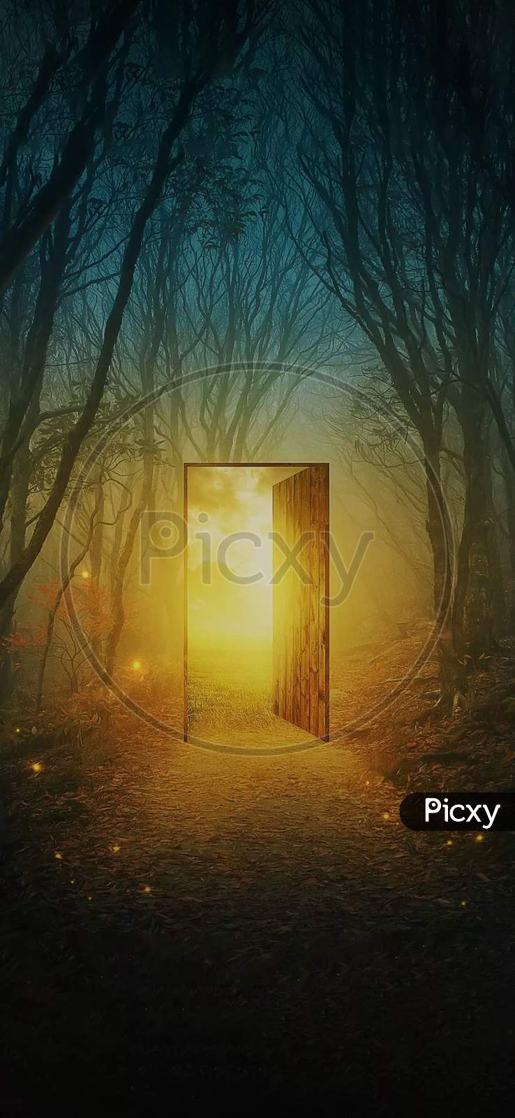 Door in the the Forest