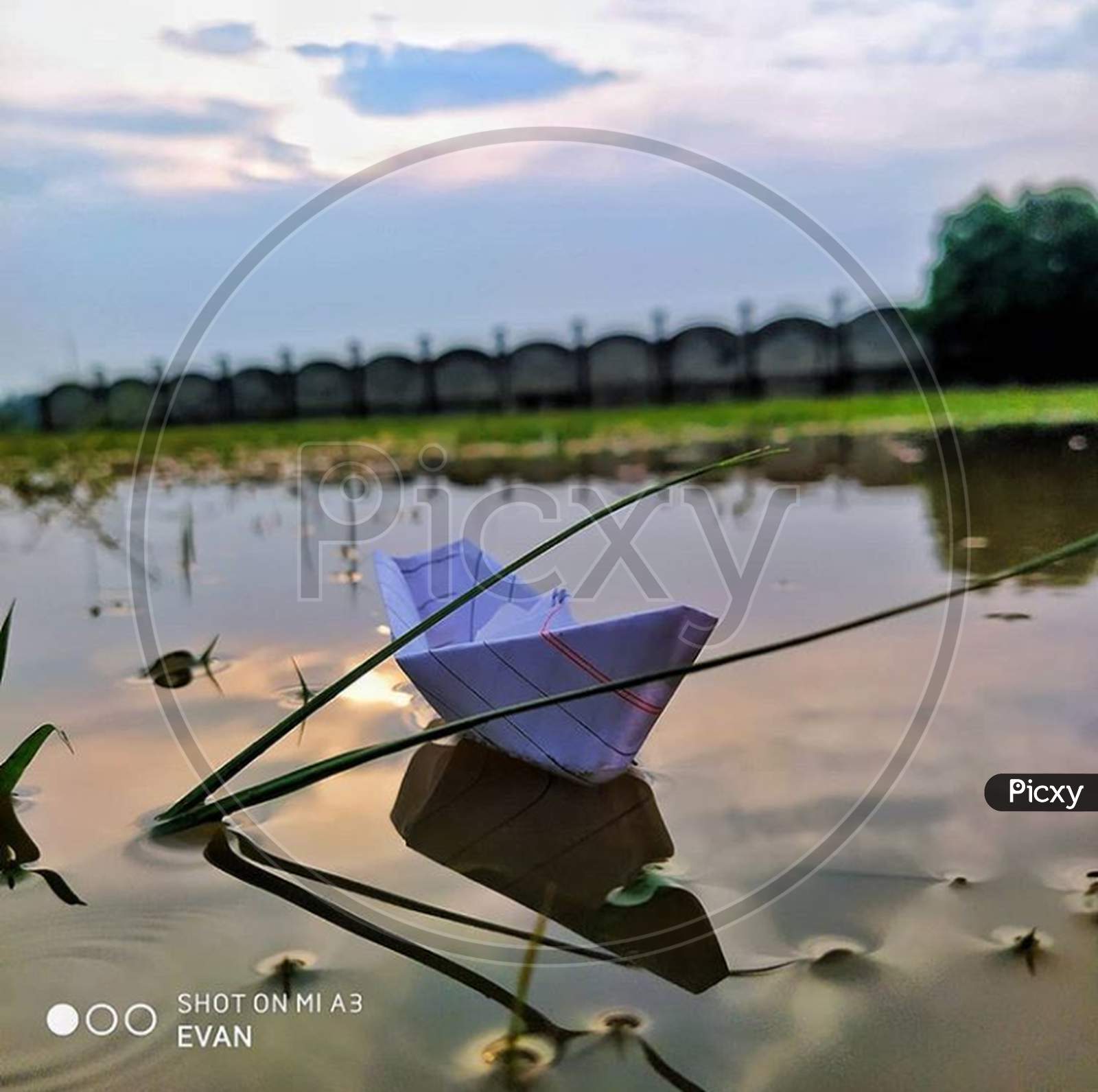 Paper boat with nature