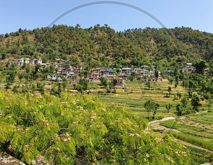 Photo of beautiful valley of Himachal Pradesh, View of lovely village landscape, View of beautiful hilly village with terraced fields in summer season
