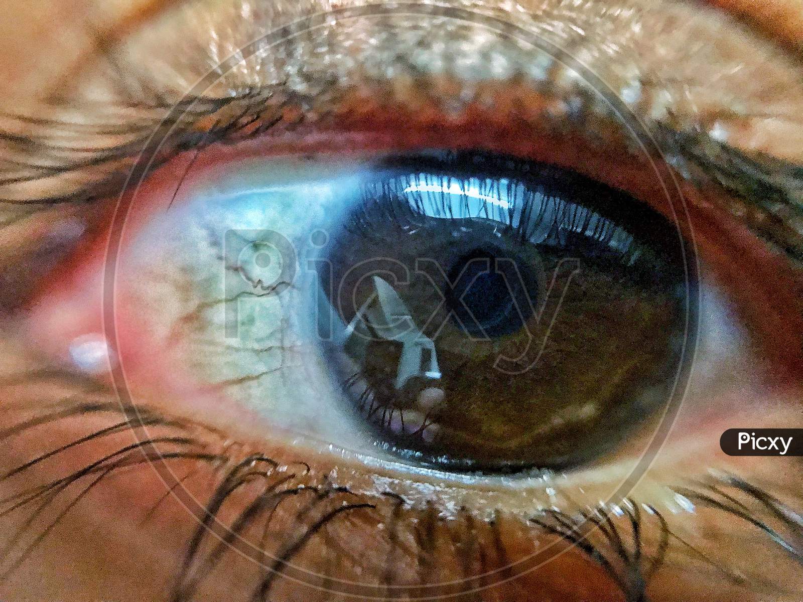 A closeup macro shot of an eye