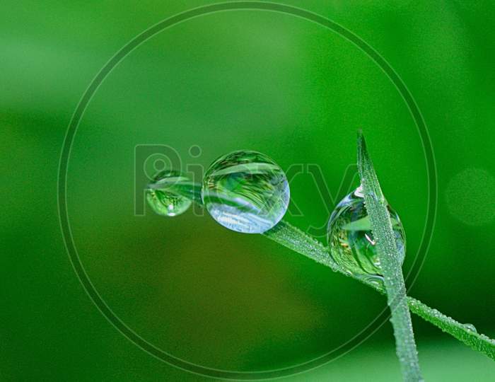 Grass on water drop