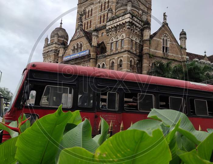 Some best view's of MCGM Mumbai