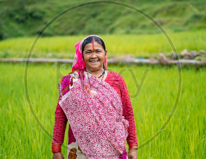 Old Indian Woman Farmer Standing In Working In The Green Fields, Smiling And Looking Into The Camera.