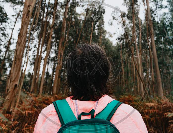 Super Close Up Of The Back Of An Old Woman In Front Of A Massive Forest With A Backpack And Sport Clothes