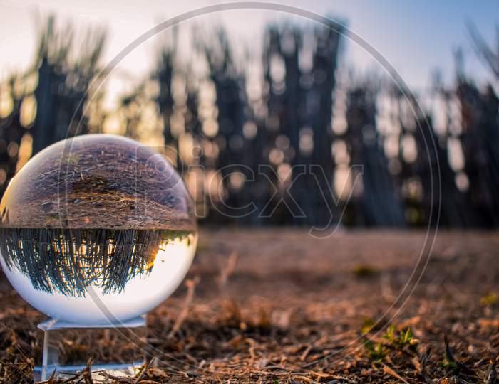 Upside down bamboo sticks in the reflection, lensball, crystal ball, with copy space.