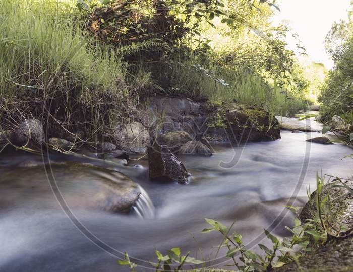 Slow Shutter Photo Of A River Surrounded With Green Plants.