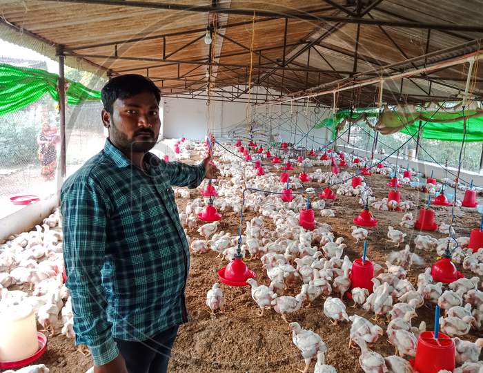 Asian Poultry Farm At Village Area.