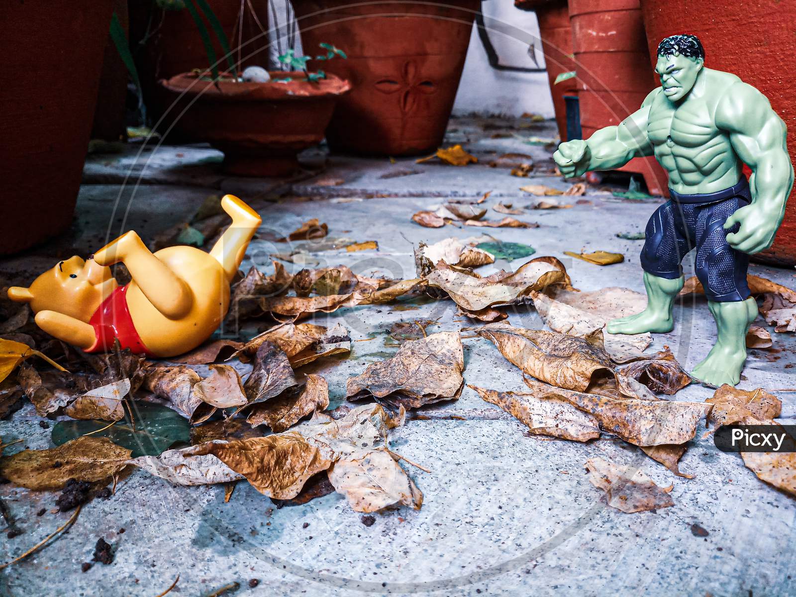 Hulk smashed the pooh!