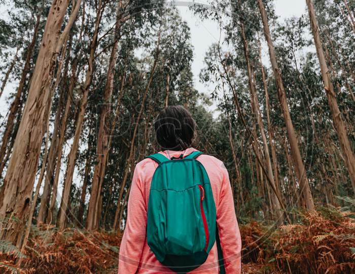 Back Of A Woman In Front Of An Old Massive Forest With A Backpack And Sport Clothes