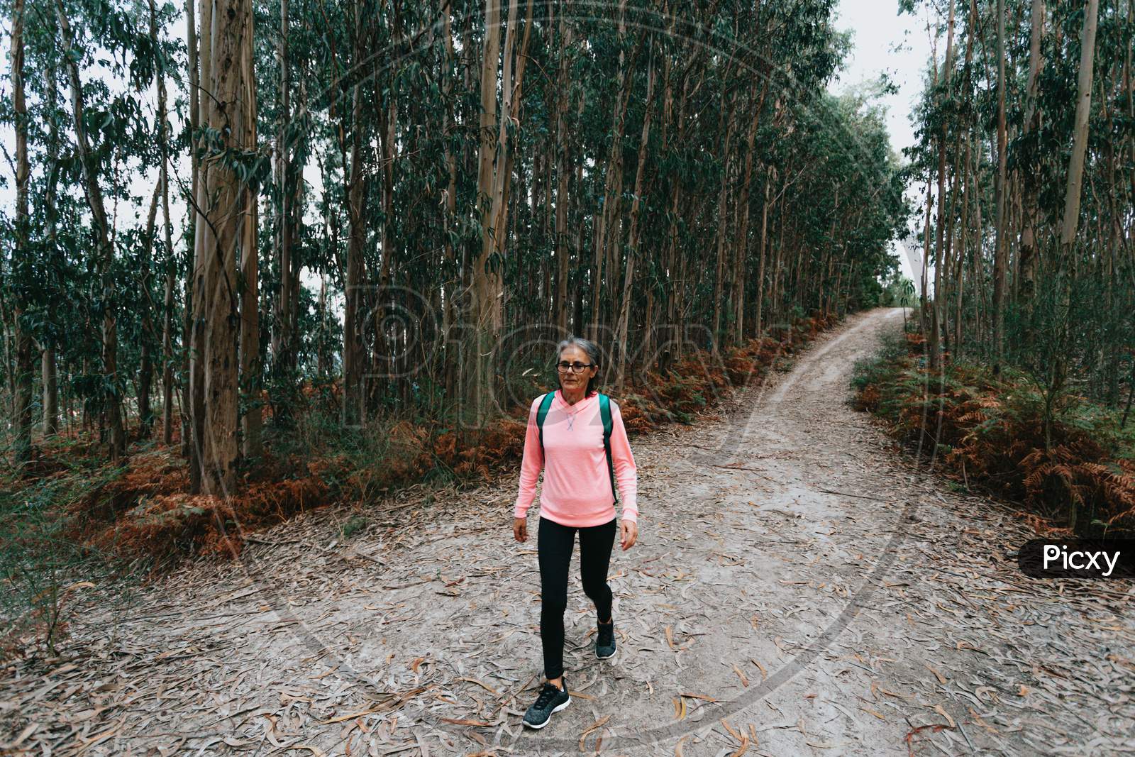 Old Woman Walking In The Forest With Sport Clothes, Bag And Glasses While Smiling