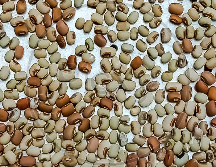Close up beauty of chawli seeds.