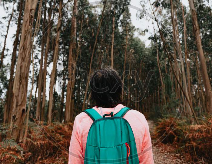 Close Up Of The Back Of An Old Woman In Front Of A Massive Forest With A Backpack And Sport Clothes