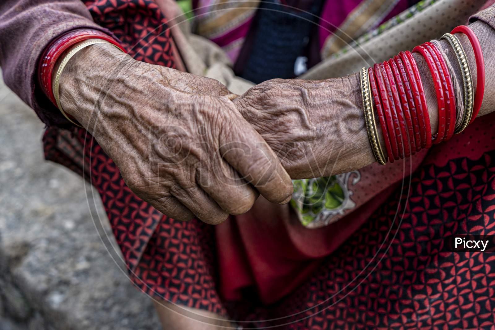 Hands Of An Elderly Indian Woman Resting On Her Red Saree.