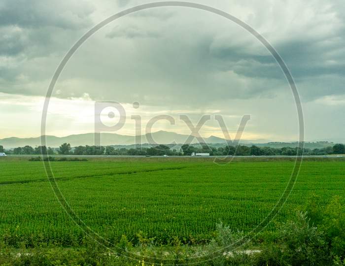 Italy, Rome To Florence Train, A Large Green Field With Clouds In The Sky