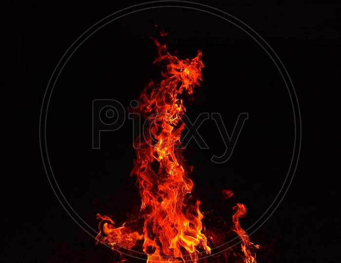 Fire in the winter forest, Bonfire night