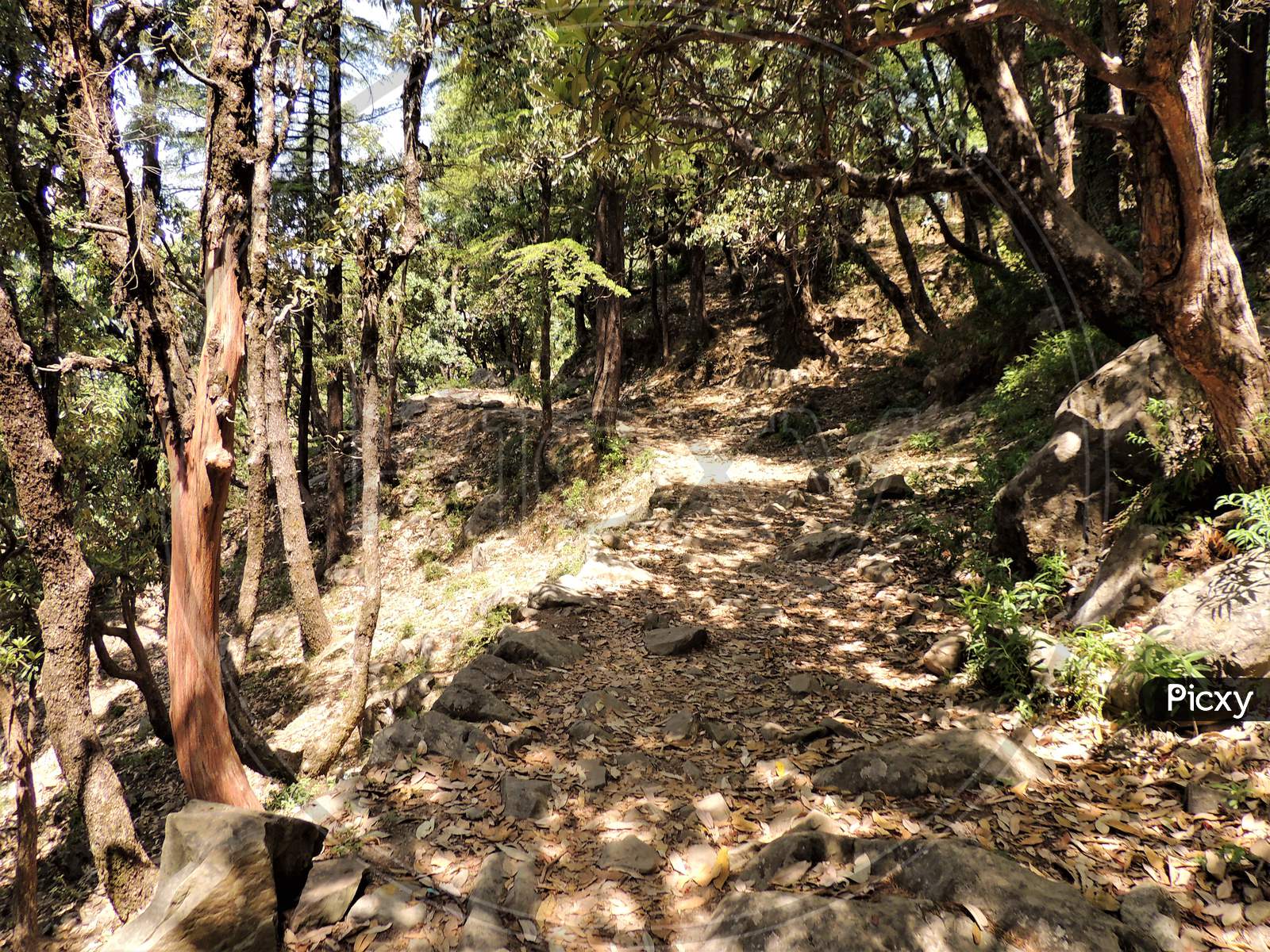trekking trail