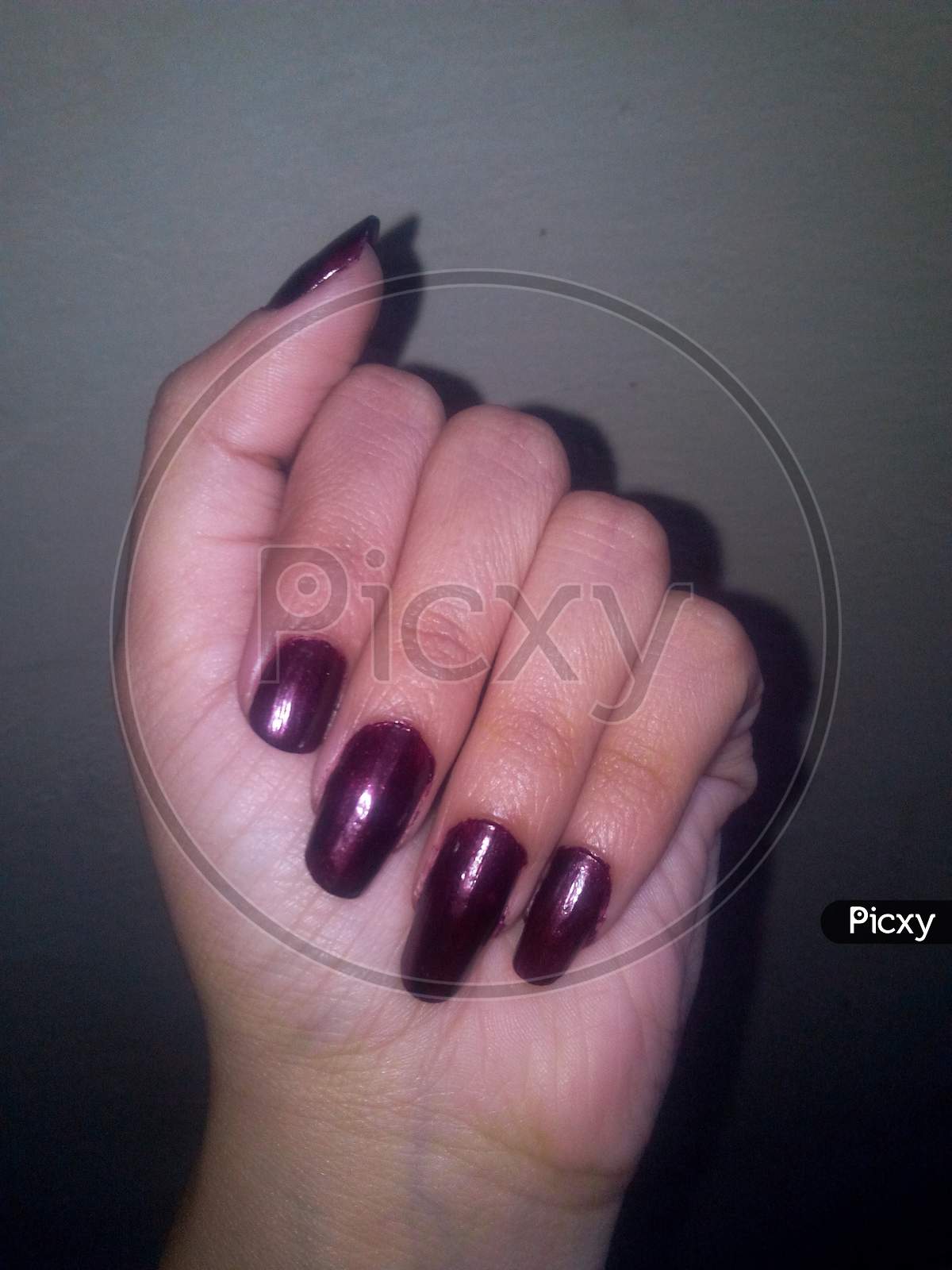 Wine color nail design. Red wine color manicure on girl hand. Shade of red on woman finger nails polish and grey background. Close up, selective focus