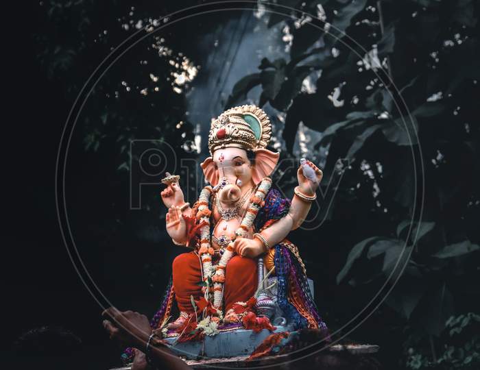Ganesh visarjan