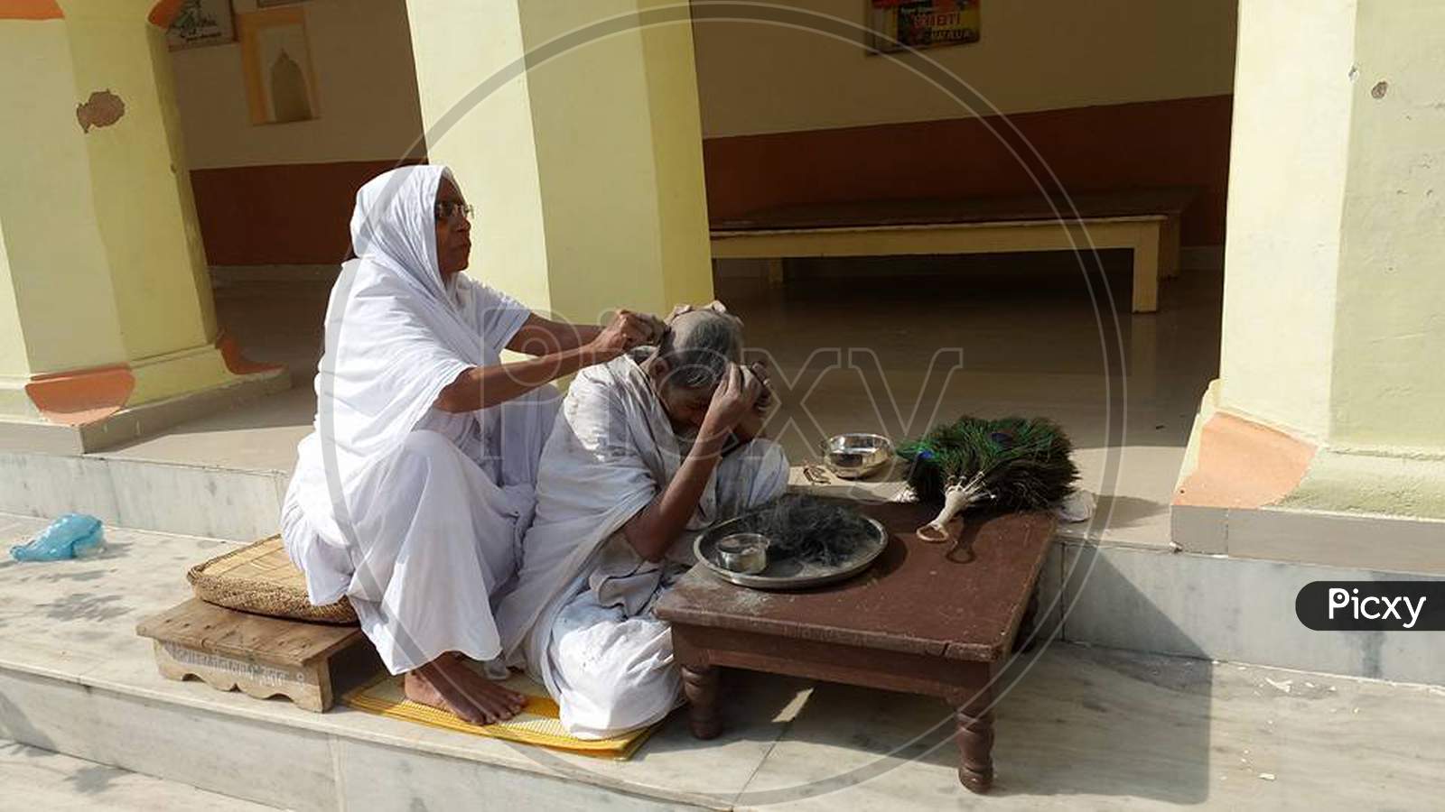 Jain Widows