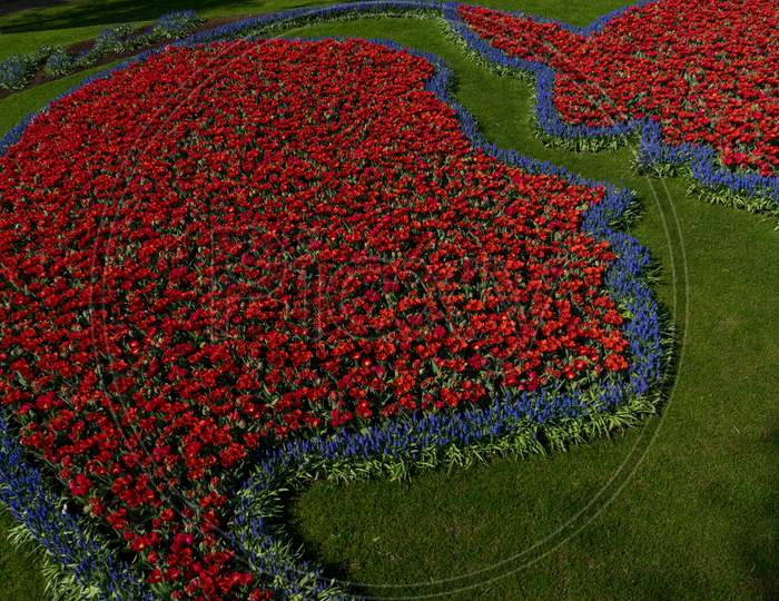 Netherlands,Lisse,Decoration Of Colourful Flowers In Shape Of A Face
