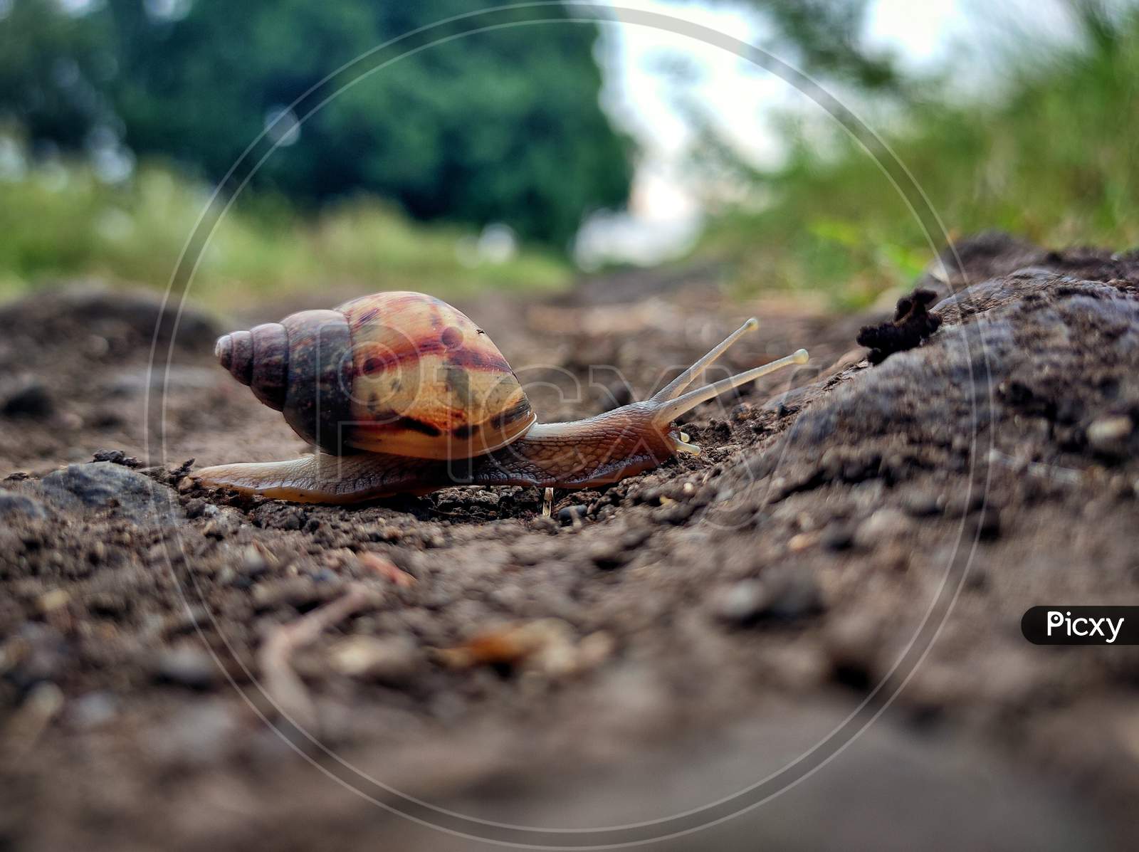 It Doesn't Matter how Slow you go, as long as you Don't Stop..🐌