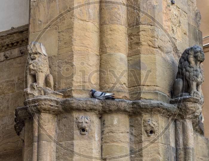 Italy,Florence, Pigeon On The Walls Of The Loggia Dei Lanzi In Florence, Italy
