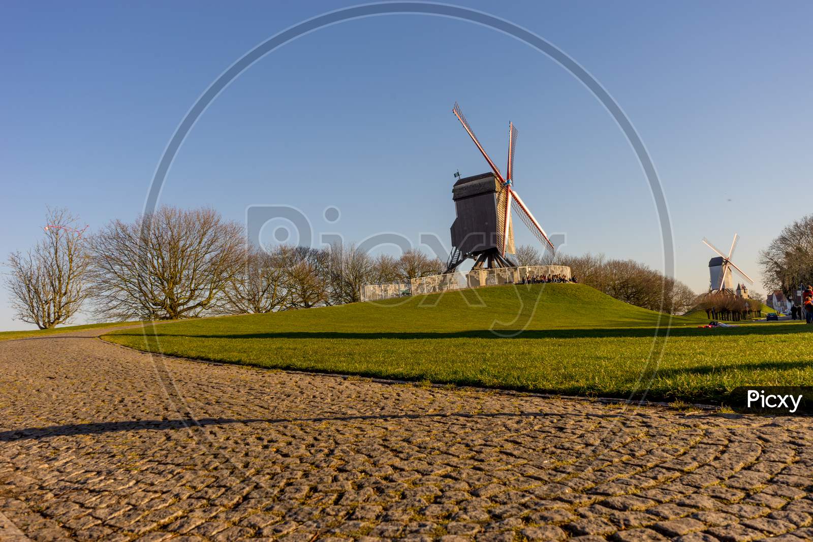 Belgium, Bruges, A Close Up Of A Lush Green Field With Path Leading To Windmill
