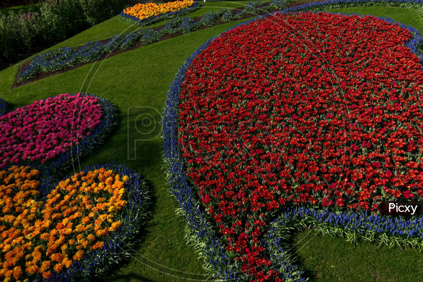Netherlands,Lisse, Decoration Of Colourful Flowers