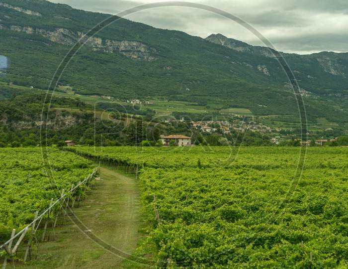 Italy,La Spezia To Kasltelruth Train, A View Of A Lush Green Field